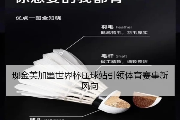 现金美加墨世界杯压球站引领体育赛事新风向